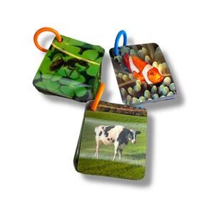 Set of 3 Holograph Flip Cards on Ring Ocean Animals Insects Learning